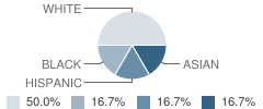 Partners in Learning School Student Race Distribution