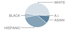 Sonrise Christian School Student Race Distribution