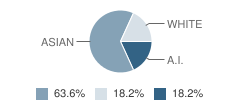 School of Choise Student Race Distribution