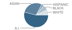 St Ambrose Sea Breeze School Student Race Distribution