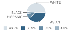 St Brendan School Student Race Distribution