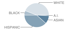 St Catherine of Alexandria School Student Race Distribution