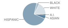 St James Catholic School Student Race Distribution