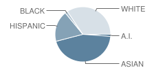 St Joseph Elementary School Student Race Distribution