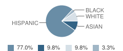 St Joseph Elementary School Student Race Distribution