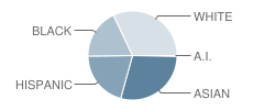 St Joseph Notre Dame High School Student Race Distribution