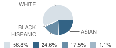 St Joseph School Student Race Distribution