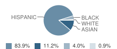 St Joseph's School Student Race Distribution