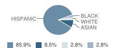 St Madeleine School Student Race Distribution