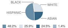 St Maria Goretti Elementary School Student Race Distribution
