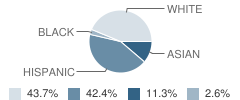 St Mary's Regional Catholic School Student Race Distribution