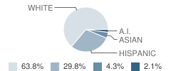 St Mary's Catholic School Student Race Distribution