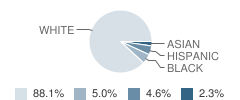 St Nicholas School Student Race Distribution