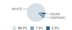 St Paschal Baylon Elementary School Student Race Distribution