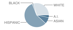 St Patrick Elementary School Student Race Distribution