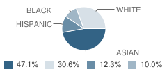 St Patrick-St. Vincent High School Student Race Distribution