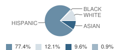 St Raymond School Student Race Distribution