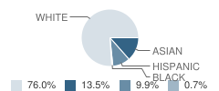 St Raymond School Student Race Distribution