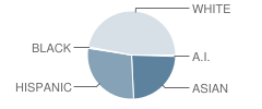 St Robert Bellarmine Elementary School Student Race Distribution