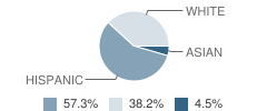 St Thomas Aquinas School Student Race Distribution