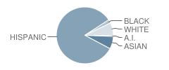 St Thomas More Elementary School Student Race Distribution