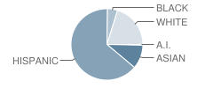 The Broadoaks Childrens School Student Race Distribution