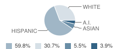 The Childrens School Student Race Distribution