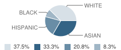 The Children's Place School Student Race Distribution