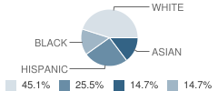 The Pines Christian School Student Race Distribution