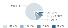 The Westview School Student Race Distribution