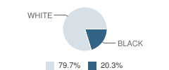 Tulare Christian School Student Race Distribution