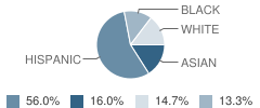 Union City Christian Academy Student Race Distribution