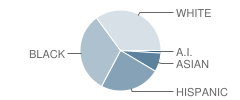 Valley Christian Academy Student Race Distribution