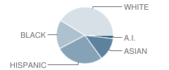 Valley School Student Race Distribution