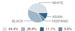 Via Center School Student Race Distribution