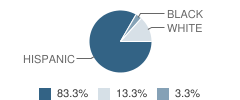 The Way out Ministries' Christian Academy Student Race Distribution