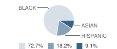 Williams & Brown Academy Student Race Distribution