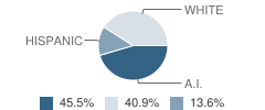 Willow Creek Christian School Student Race Distribution