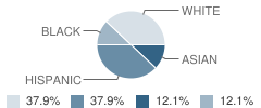 Wonderland School Student Race Distribution