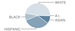 Fresno Adventist Academy Student Race Distribution