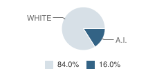 International Christian School Student Race Distribution