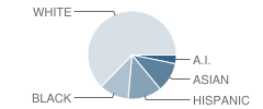 Laureate Learning Center School Student Race Distribution