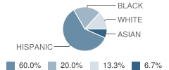 Liberty Christian School Student Race Distribution