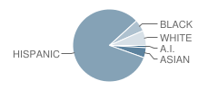 New Harvest Christian School Student Race Distribution