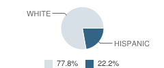 Our Lady of Victory School Student Race Distribution