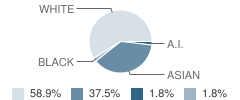 Squaw Valley Academy Student Race Distribution