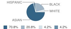 Starlite Child Development Center School Student Race Distribution