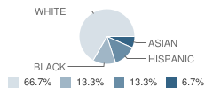 Sunesis Agape Conservatory School Student Race Distribution