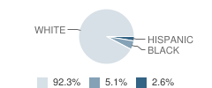 Talega Preparatory Academy Student Race Distribution