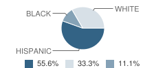 Three in One Christian Academy Student Race Distribution